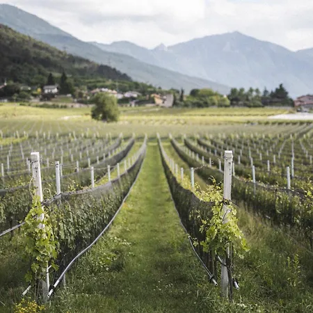 Hotel Ideal Sarche di Calavino